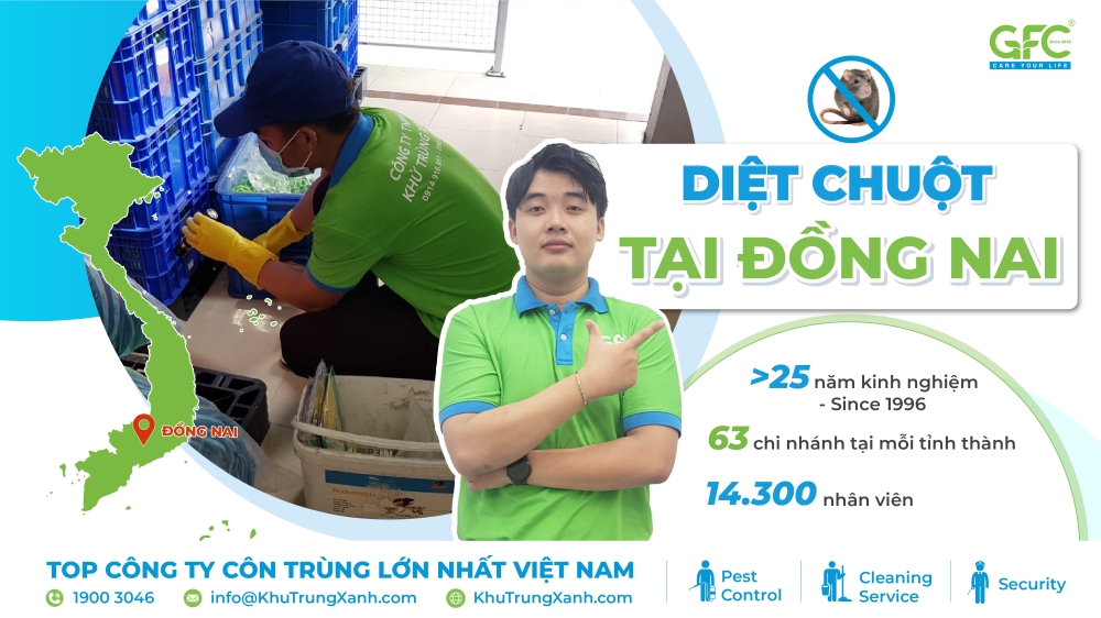 dịch vụ diệt chuột tại Đồng Nai