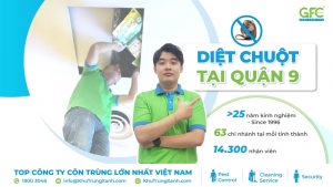 Dịch vụ diệt chuột ở Quận 9