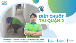 Diệt chuột tại Quận 2