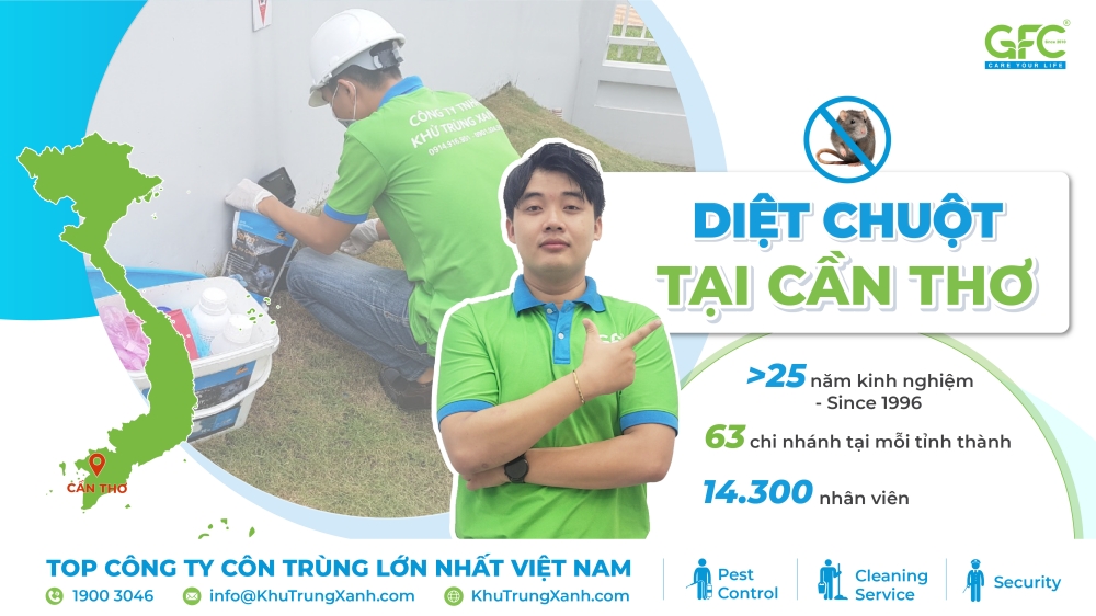 Dịch vụ diệt chuột tại Cần Thơ