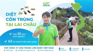 Công ty dịch vụ diệt côn trùng tại Lai Châu