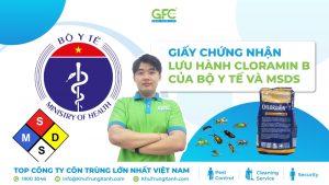 Giấy chứng nhận lưu hành Cloramin B của Bộ Y Tế và MSDS