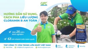 Hướng dẫn sử dụng, cách pha liều lượng CLORAMIN B an toàn