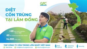 CÔNG TY DIỆT CÔN TRÙNG TẠI LÂM ĐỒNG