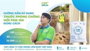 Hướng dẫn sử dụng thuốc phòng chống mối PMS 100 đúng cách