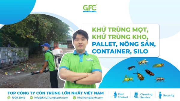 Khử trùng mọt, Khử trùng kho, Pallet, nông sản, Container, Silo