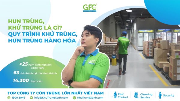Hun trùng, khử trùng là gì? Quy trình khử trùng, hun trùng hàng hóa