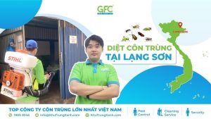 Công ty dịch vụ diệt côn trùng tại Lạng Sơn