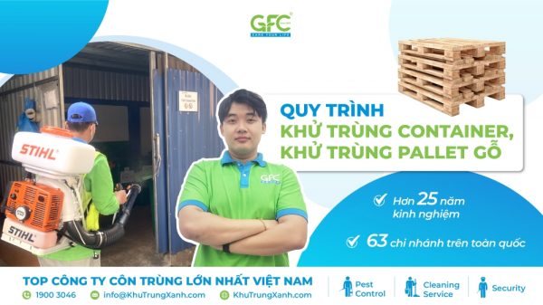 Quy trình khử trùng container, khử trùng pallet gỗ