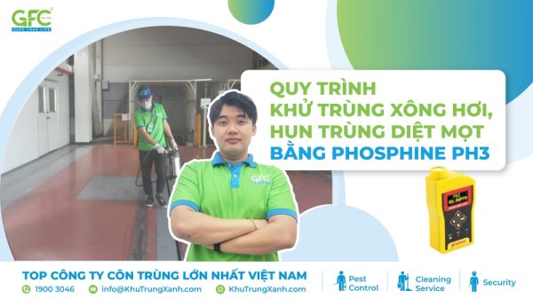 Quy trình khử trùng xông hơi , hun trùng diệt mọt bằng Phosphine PH3