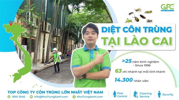 Dịch vụ diệt côn trùng tại Lào Cai uy tín, chuyên nghiệp