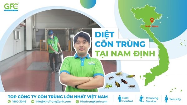 Công ty dịch vụ diệt côn trùng tại Nam Định giá rẻ, uy tín