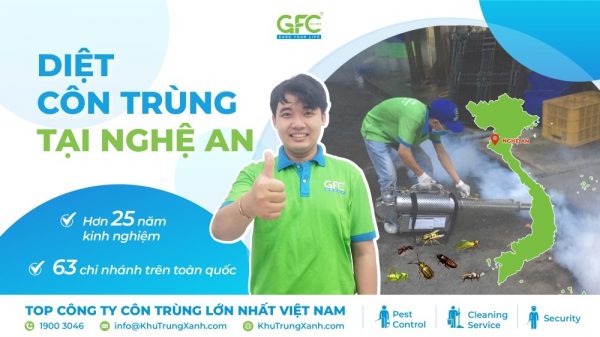 Công ty dịch vụ diệt côn trùng tại Nghệ An