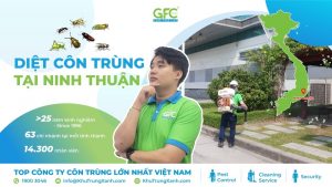 Công ty dịch vụ diệt côn trùng tại Ninh Thuận