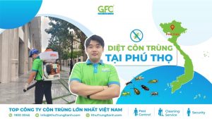 CÔNG TY DIỆT CÔN TRÙNG TẠI PHÚ THỌ