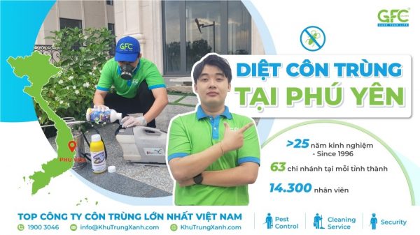Công ty dịch vụ diệt côn trùng tại Phú Yên