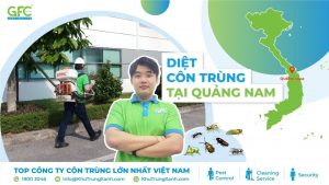 Dịch vụ diệt côn trùng tại Quảng Nam uy tín, chuyên nghiệp