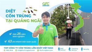 Công ty dịch vụ diệt côn trùng tại Quảng Ngãi