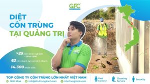 Công ty dịch vụ diệt côn trùng tại Quảng Trị