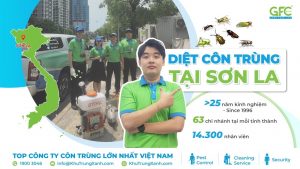 Công ty dịch vụ diệt côn trùng tại Sơn La