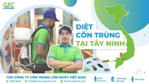 Công ty dịch vụ diệt côn trùng tại Tây Ninh