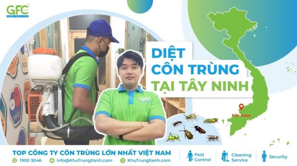 Công ty dịch vụ diệt côn trùng tại Tây Ninh