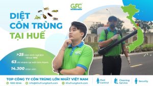 Công ty dịch vụ diệt côn trùng tại Thừa Thiên Huế