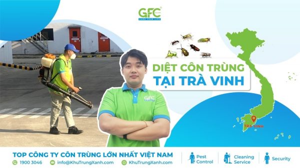 CÔNG TY DIỆT CÔN TRÙNG TẠI TRÀ VINH
