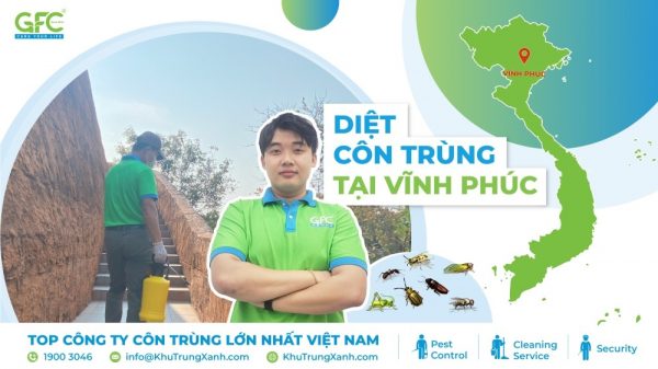 CÔNG TY DIỆT CÔN TRÙNG TẠI VĨNH PHÚC