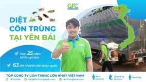 Công ty dịch vụ diệt côn trùng tại Yên Bái