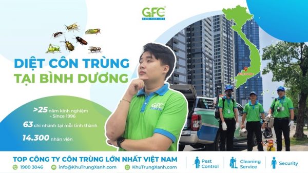 Dịch vụ diệt côn trùng tại Bình Dương uy tín, chuyên nghiệp