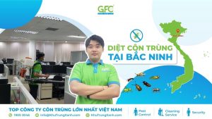 Công ty diệt côn trùng tại Bắc Ninh chuyên nghiệp, uy tín