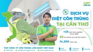 Công ty dịch vụ diệt côn trùng uy tín Cần Thơ