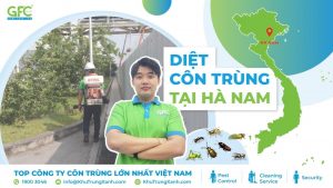 CÔNG TY DIỆT CÔN TRÙNG TẠI HÀ NAM