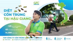 CÔNG TY DIỆT CÔN TRÙNG TẠI HẬU GIANG