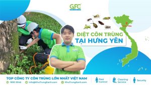 CÔNG TY DIỆT CÔN TRÙNG TẠI HƯNG YÊN