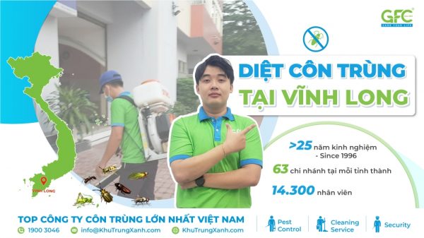CÔNG TY DIỆT CÔN TRÙNG TẠI VĨNH LONG