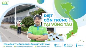 Công ty diệt côn trùng tại Vũng Tàu uy tín, giá rẻ