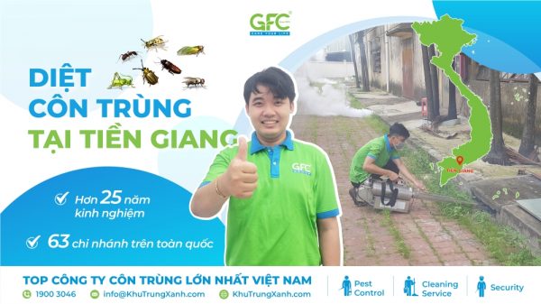 Dịch vụ diệt côn trùng tại Tiền Giang uy tín, chuyên nghiệp