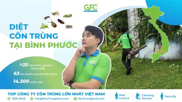 Công ty diệt côn trùng tại Bình Phước uy tín chất lượng
