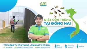 4 địa chỉ diệt côn trùng tại Đồng Nai uy tín, hiệu quả tận gốc