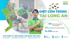 Công ty diệt côn trùng tại Long An
