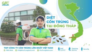 Công ty diệt côn trùng uy tín tại Đồng Tháp