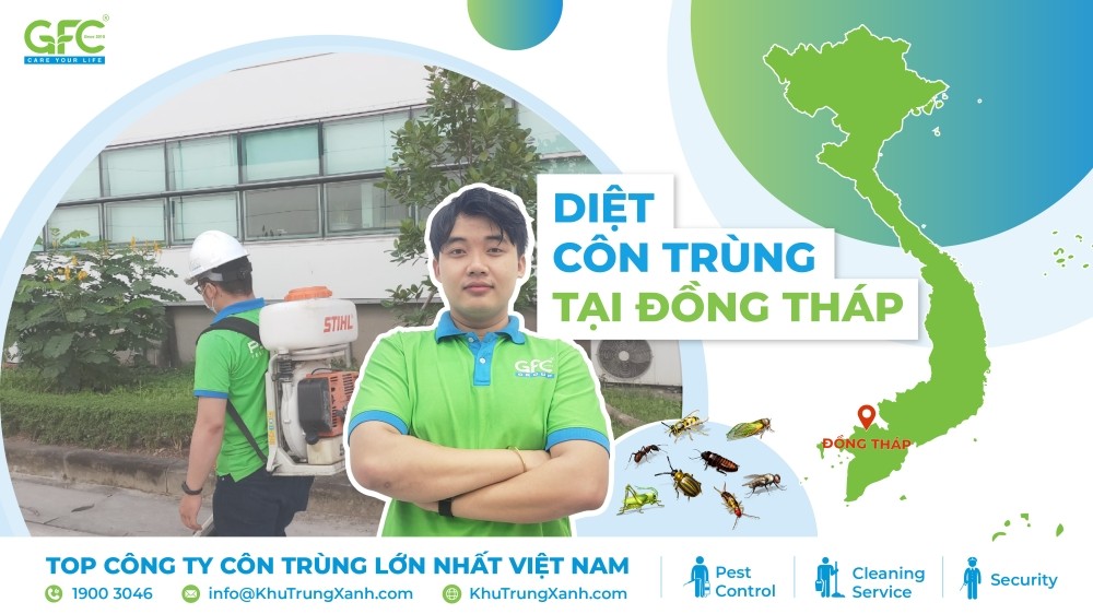 Diệt côn trùng tại Đồng Tháp