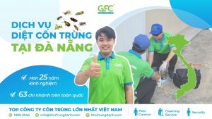 Dịch vụ diệt côn trùng tại Đà Nẵng giá rẻ, uy tín nhất 2026