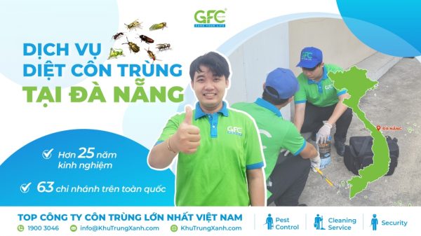 Dịch vụ diệt côn trùng tại Đà Nẵng giá rẻ, uy tín nhất 2025