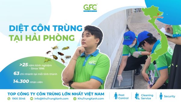 Công ty diệt côn trùng tại Hải Phòng