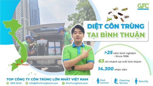 Dịch vụ diệt côn trùng tại Bình Thuận uy tín, chuyên nghiệp