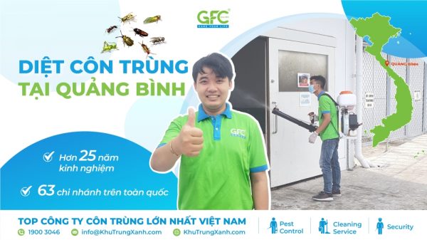 Dịch vụ diệt côn trùng tại Quảng Bình uy tín, chuyên nghiệp