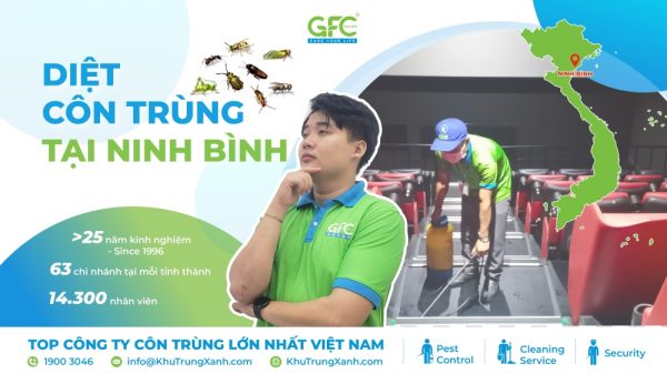 Dịch vụ diệt côn trùng tại Ninh Bình uy tín, chuyên nghiệp